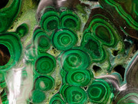 Polished Large Flower Banded Malachite Free Form x 1 From Congo