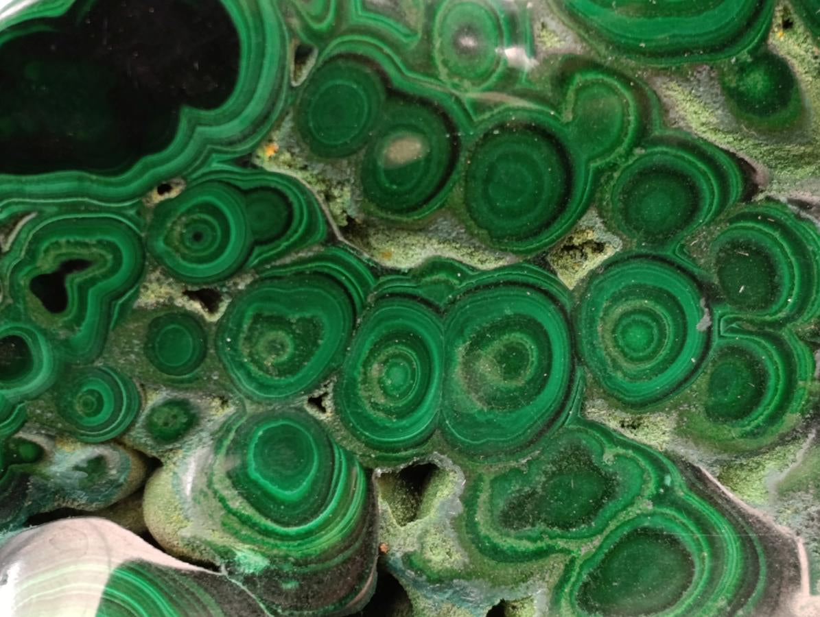 Polished Large Flower Banded Malachite Free Form x 1 From Congo