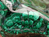 Polished Large Flower Banded Malachite Free Form x 1 From Congo