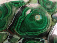 Polished Large Flower Banded Malachite Free Form x 1 From Congo
