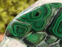 Polished Large Flower Banded Malachite Free Form x 1 From Congo