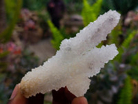 Natural Drusy Quartz Coated Finger Specimens x 12 From Alberts Mountain, Lesotho
