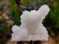 Natural Drusy Quartz Coated Finger Specimens x 12 From Alberts Mountain, Lesotho