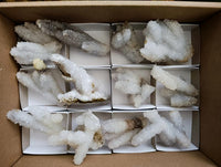 Natural Drusy Quartz Coated Finger Specimens x 12 From Alberts Mountain, Lesotho