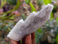 Natural Drusy Quartz Coated Finger Specimens x 12 From Alberts Mountain, Lesotho