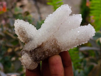 Natural Drusy Quartz Coated Finger Specimens x 12 From Alberts Mountain, Lesotho