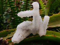 Natural Drusy Quartz Coated Finger Specimens x 12 From Alberts Mountain, Lesotho