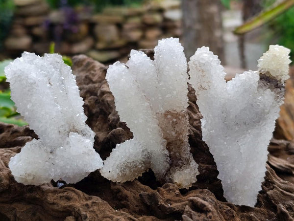 Natural Drusy Quartz Coated Finger Specimens x 12 From Alberts Mountain, Lesotho