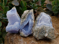 Natural Blue Lace Agate Geode Specimens x 24 From Nsanje, Malawi