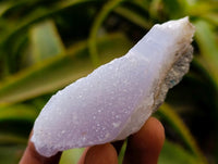 Natural Blue Lace Agate Geode Specimens x 24 From Nsanje, Malawi