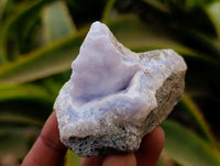 Natural Blue Lace Agate Geode Specimens x 24 From Nsanje, Malawi