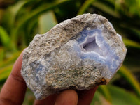 Natural Blue Lace Agate Geode Specimens x 24 From Nsanje, Malawi