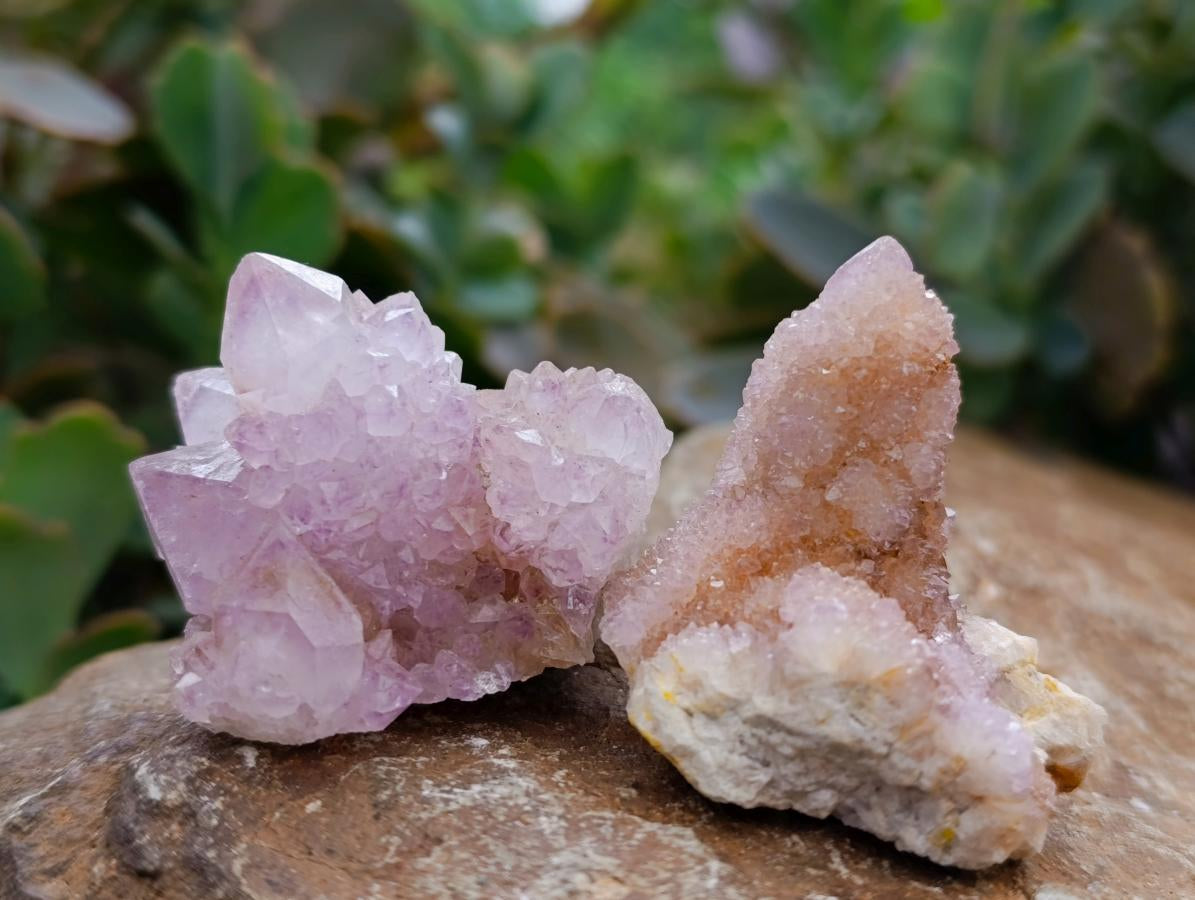 Natural Drusy Ametrine Spirit Crystals x 20 From Boekenhouthoek, South Africa