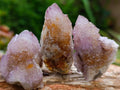 Natural Drusy Ametrine Spirit Crystals x 20 From Boekenhouthoek, South Africa