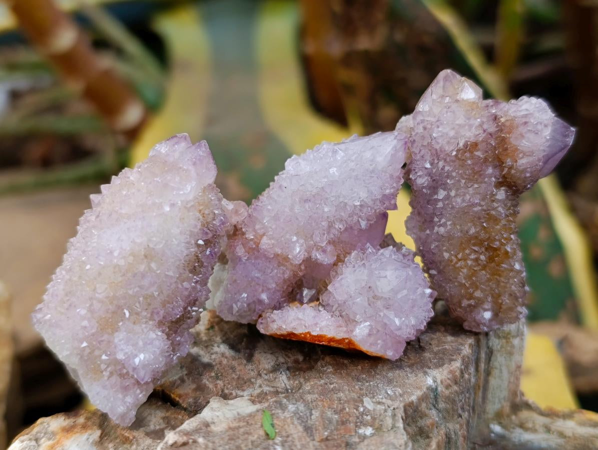 Natural Drusy Ametrine Spirit Crystals x 20 From Boekenhouthoek, South Africa