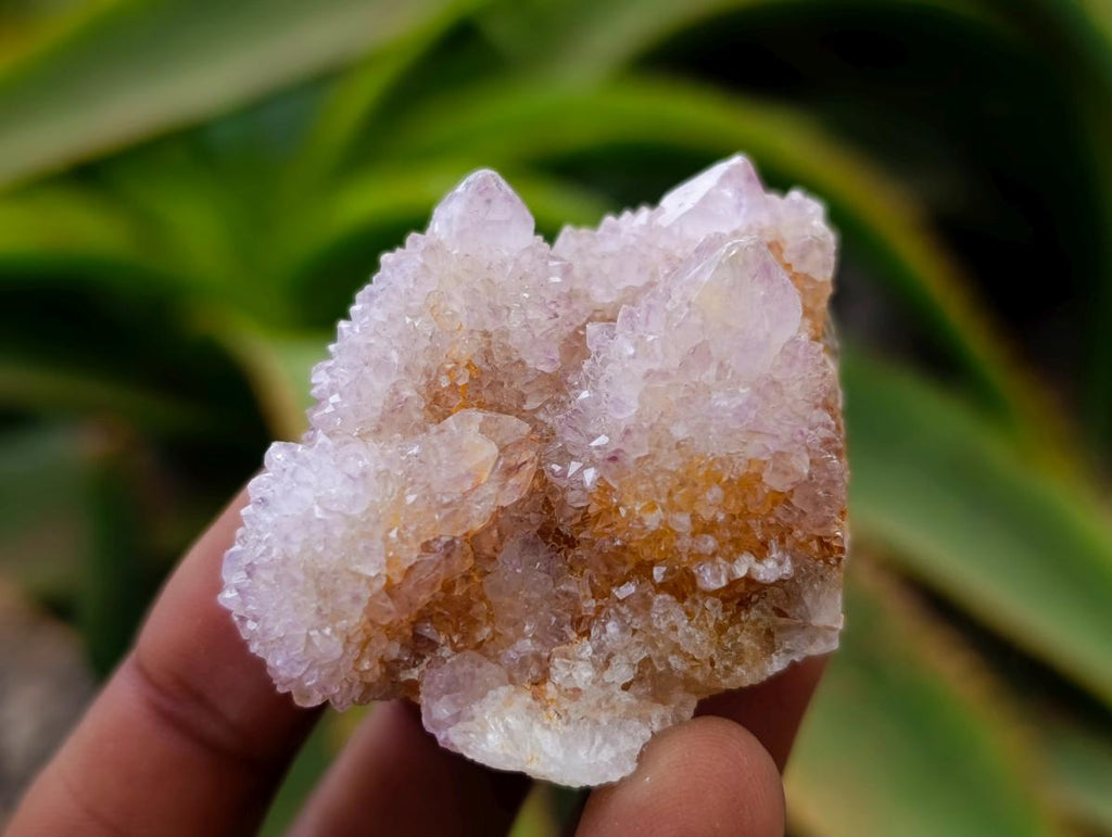 Natural Drusy Ametrine Spirit Crystals x 20 From Boekenhouthoek, South Africa