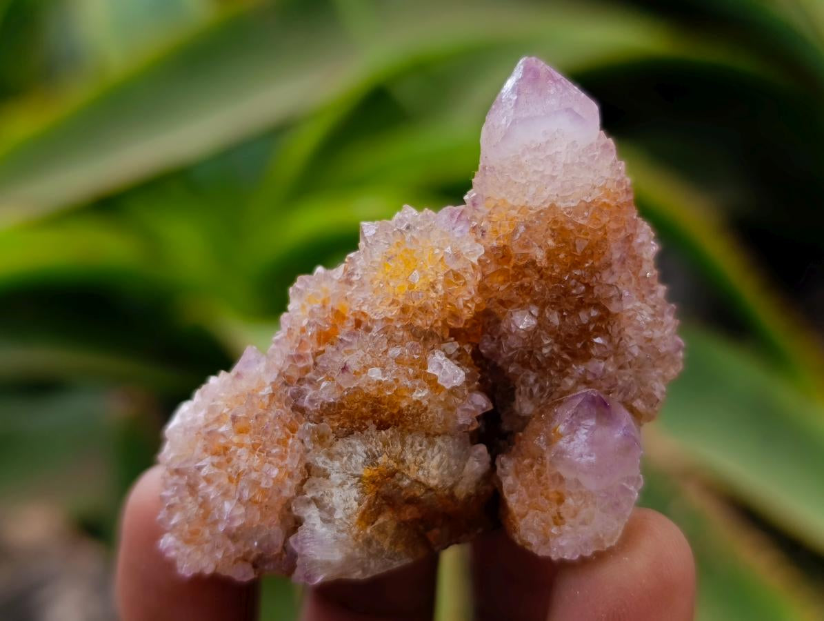 Natural Drusy Ametrine Spirit Crystals x 20 From Boekenhouthoek, South Africa