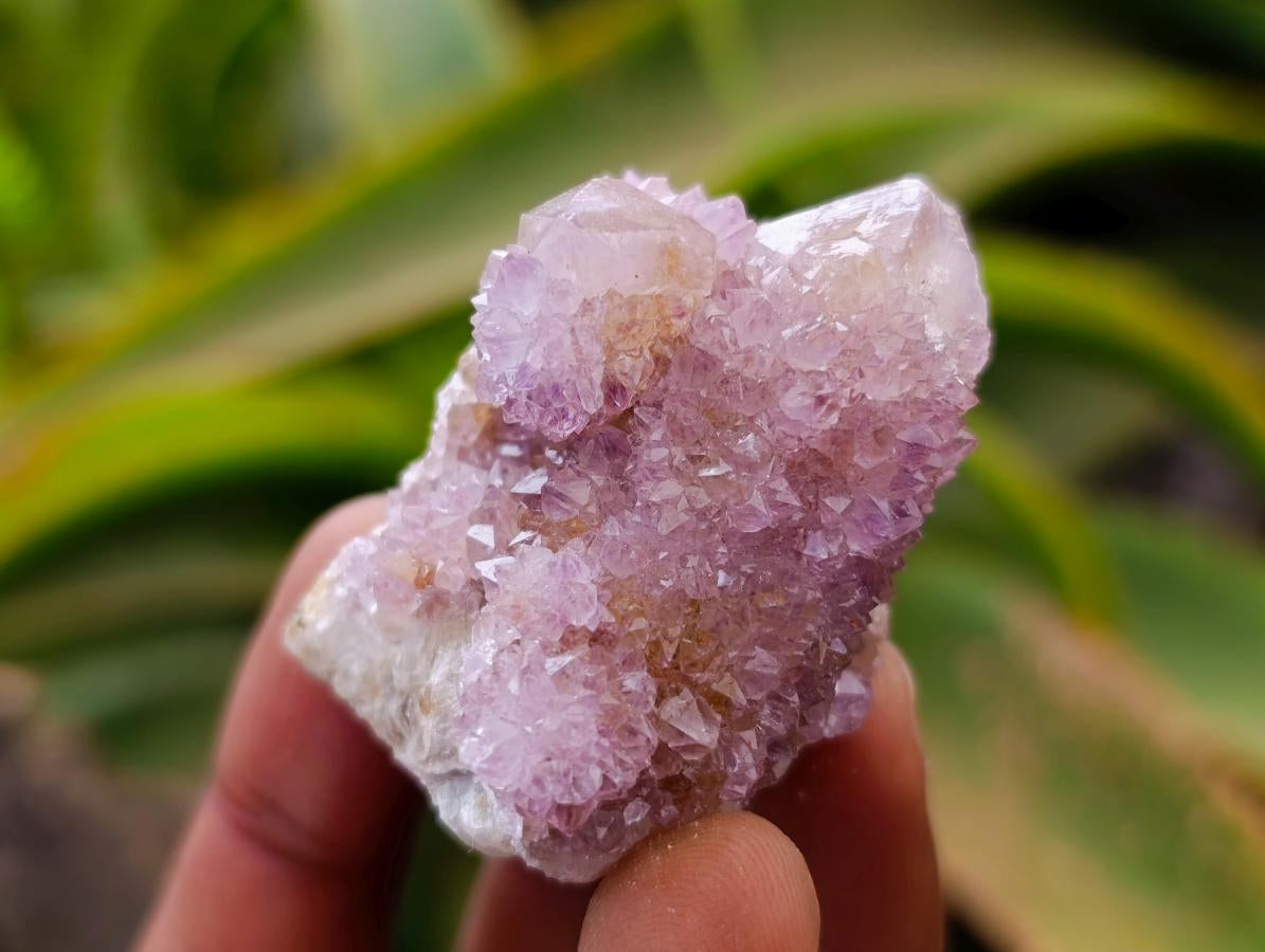 Natural Drusy Ametrine Spirit Crystals x 20 From Boekenhouthoek, South Africa