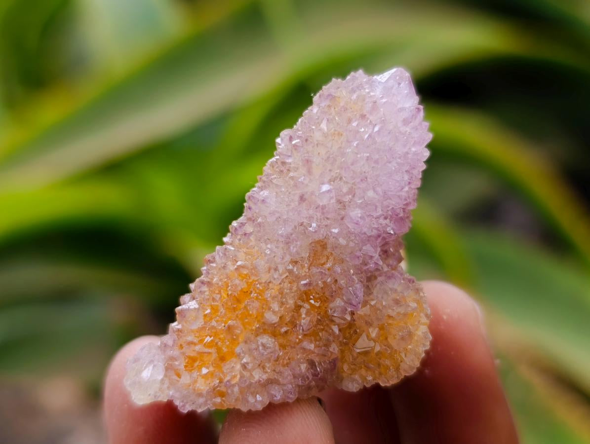 Natural Drusy Ametrine Spirit Crystals x 20 From Boekenhouthoek, South Africa