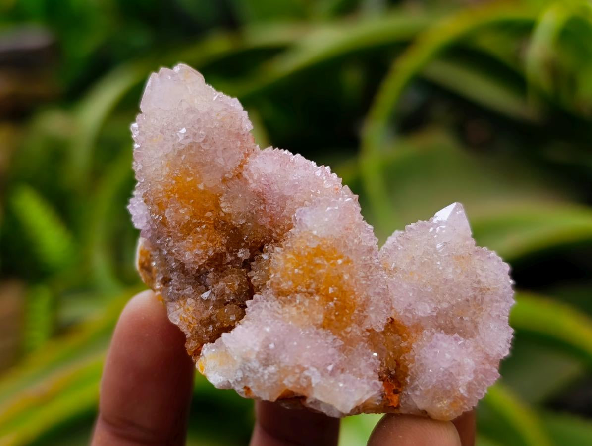 Natural Drusy Ametrine Spirit Crystals x 20 From Boekenhouthoek, South Africa