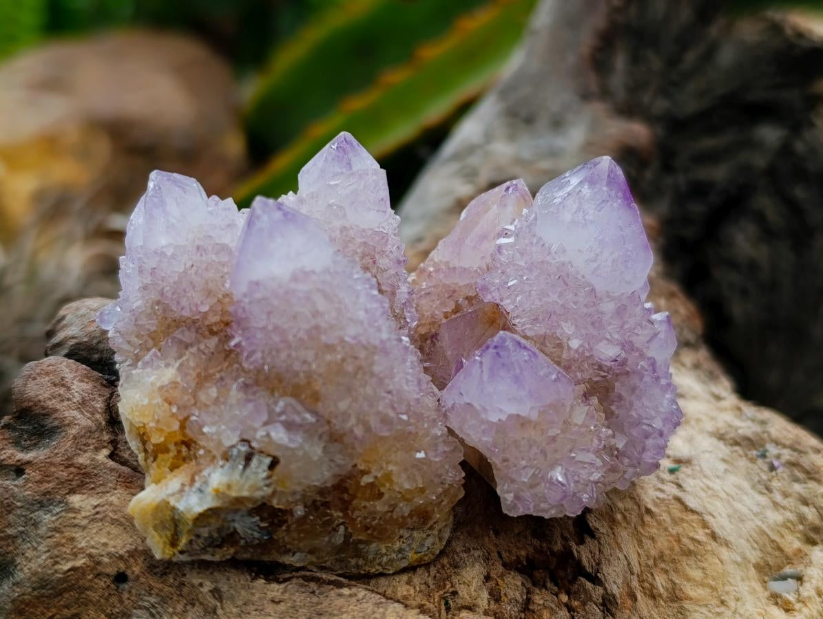 Natural Drusy Ametrine Spirit Crystals x 20 From Boekenhouthoek, South Africa