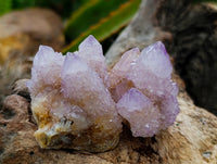 Natural Drusy Ametrine Spirit Crystals x 20 From Boekenhouthoek, South Africa
