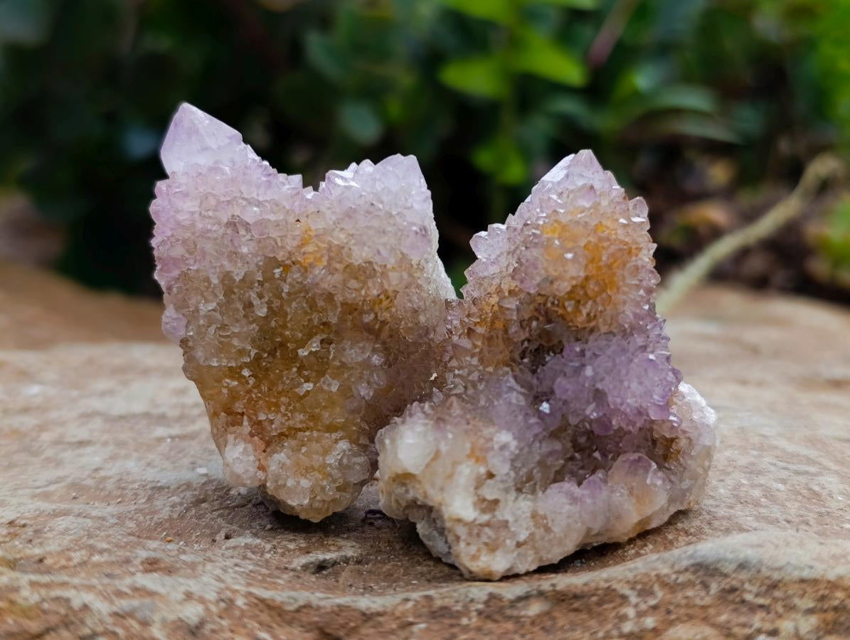 Natural Drusy Ametrine Spirit Crystals x 20 From Boekenhouthoek, South Africa