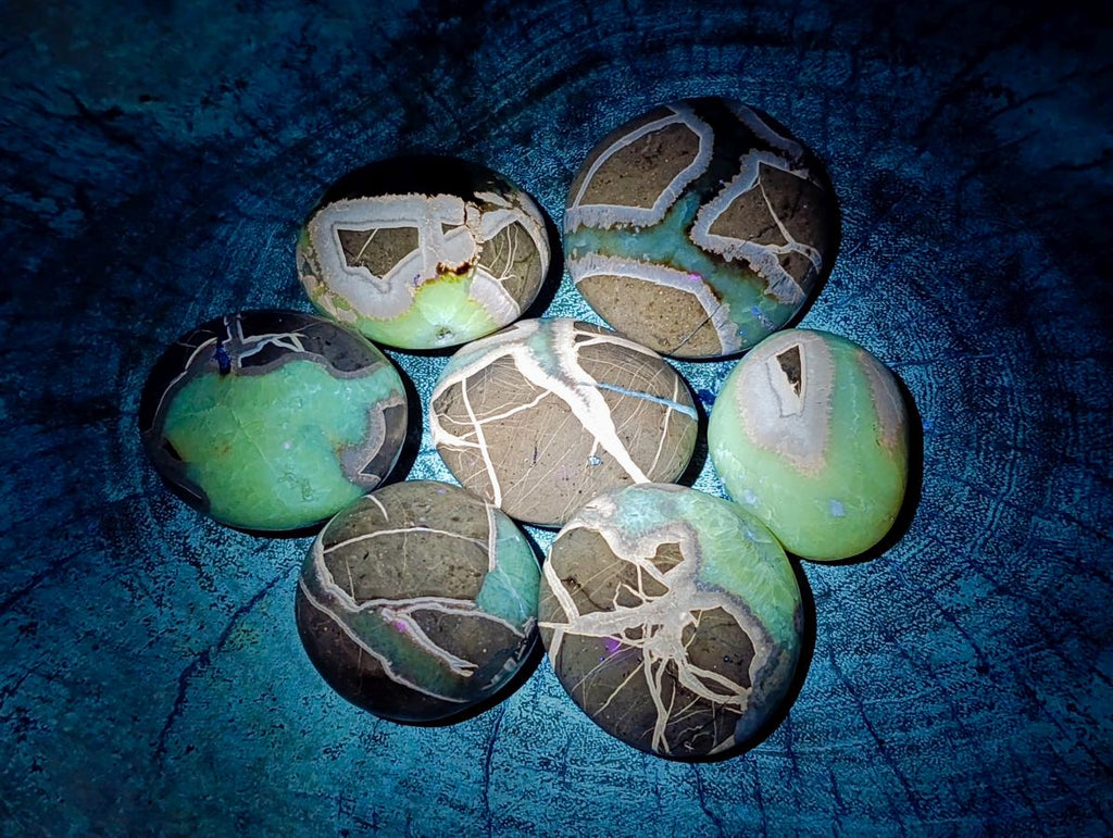 Polished Septerye Galets x 12 From Mahajanga, Madagascar