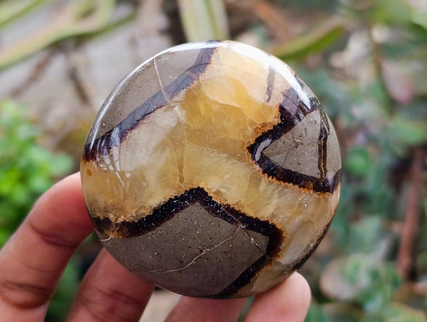 Polished Septerye Galets x 12 From Mahajanga, Madagascar