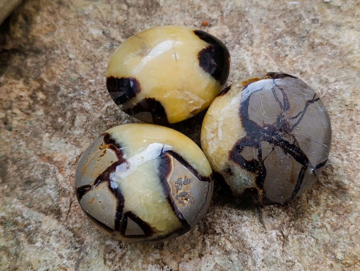 Polished Septerye Galets x 12 From Mahajanga, Madagascar