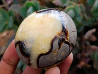 Polished Septerye Galets x 12 From Mahajanga, Madagascar