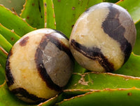 Polished Septerye Galets x 12 From Mahajanga, Madagascar