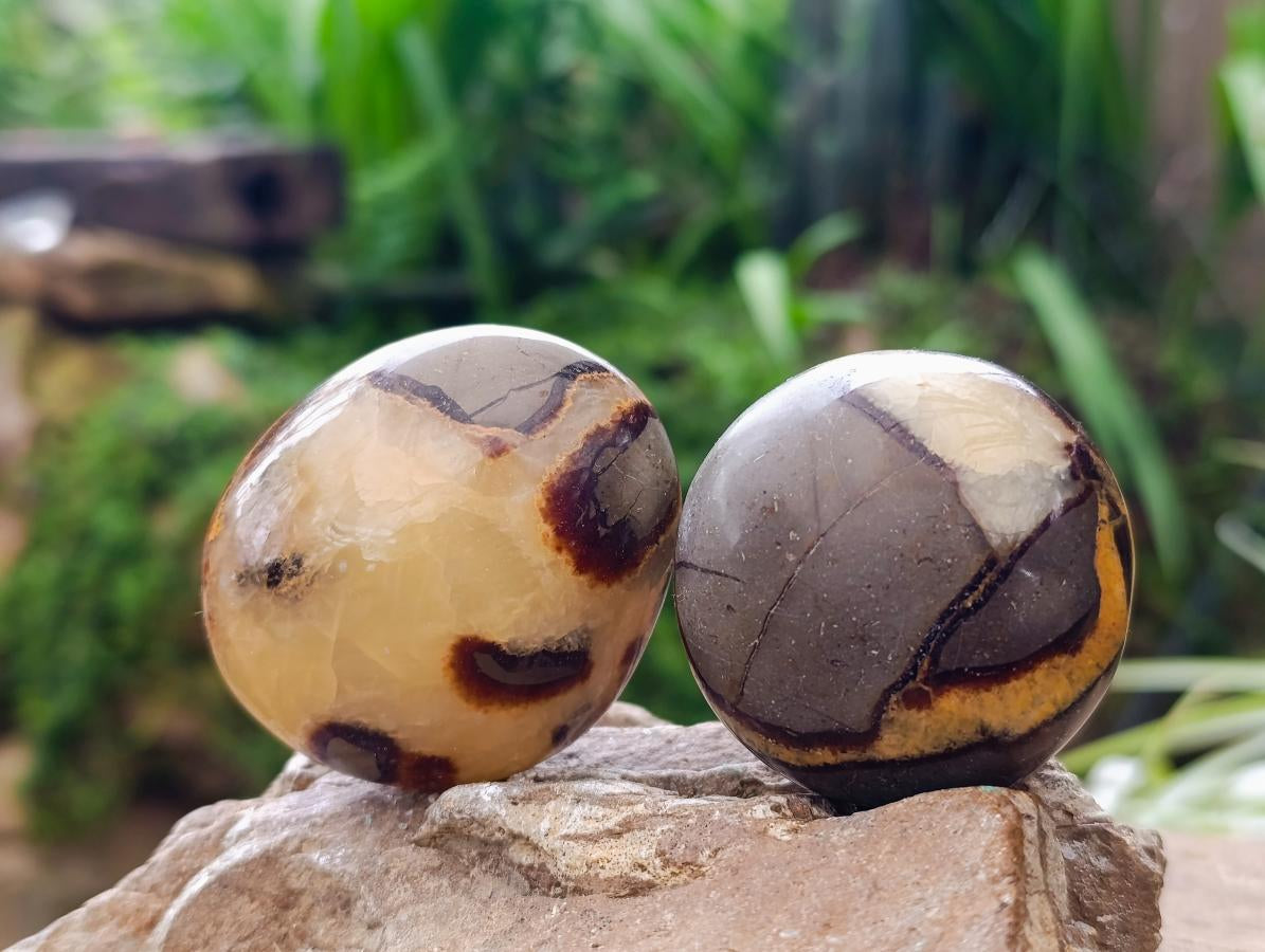 Polished Septerye Galets x 12 From Mahajanga, Madagascar