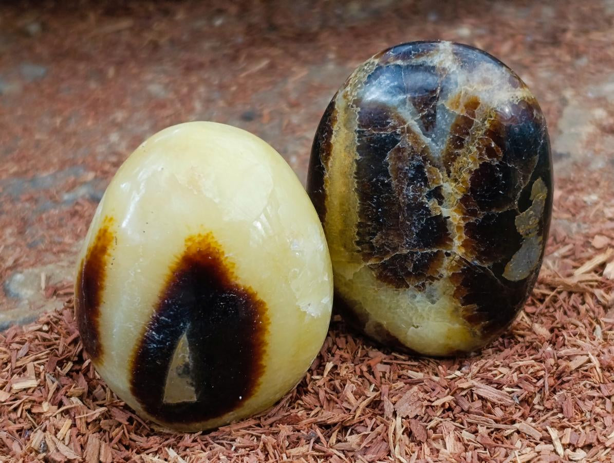 Polished Septerye Galets x 12 From Mahajanga, Madagascar