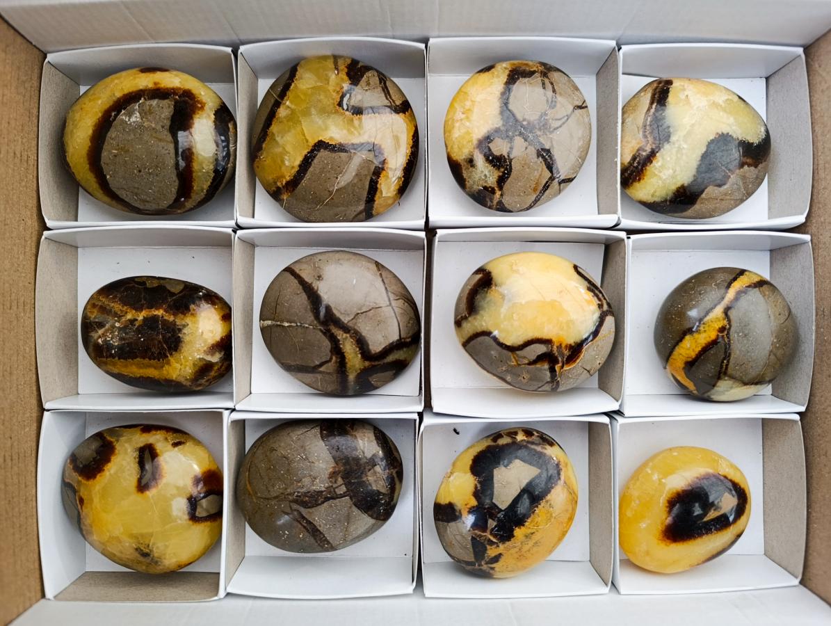 Polished Septerye Galets x 12 From Mahajanga, Madagascar