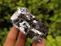 Natural Fragile Lead Galena Cobbed Specimens x 12 From Kaokoveld, Namibia