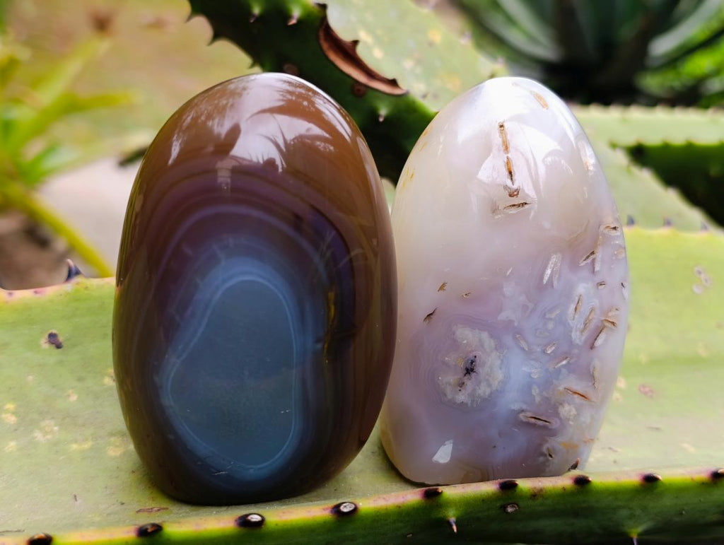 Polished Agate Standing Free Forms x 6 From Madagascar