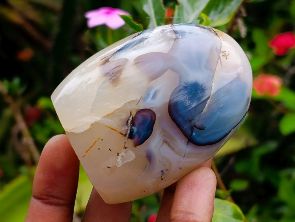 Polished Agate Standing Free Forms x 6 From Madagascar
