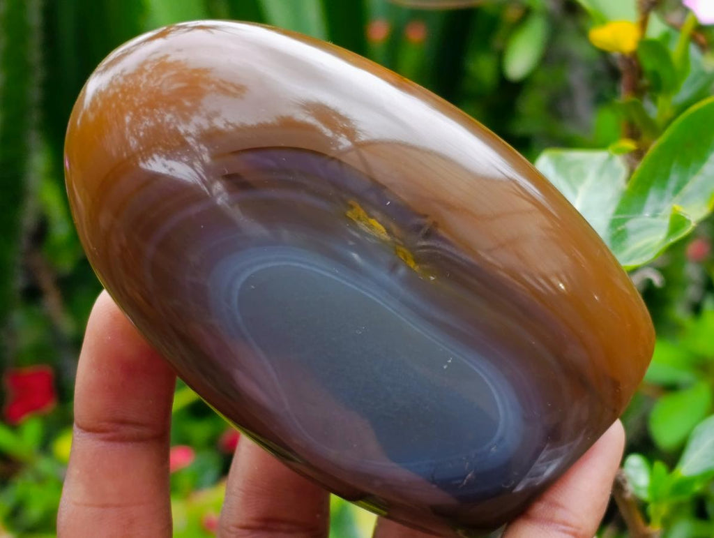 Polished Agate Standing Free Forms x 6 From Madagascar