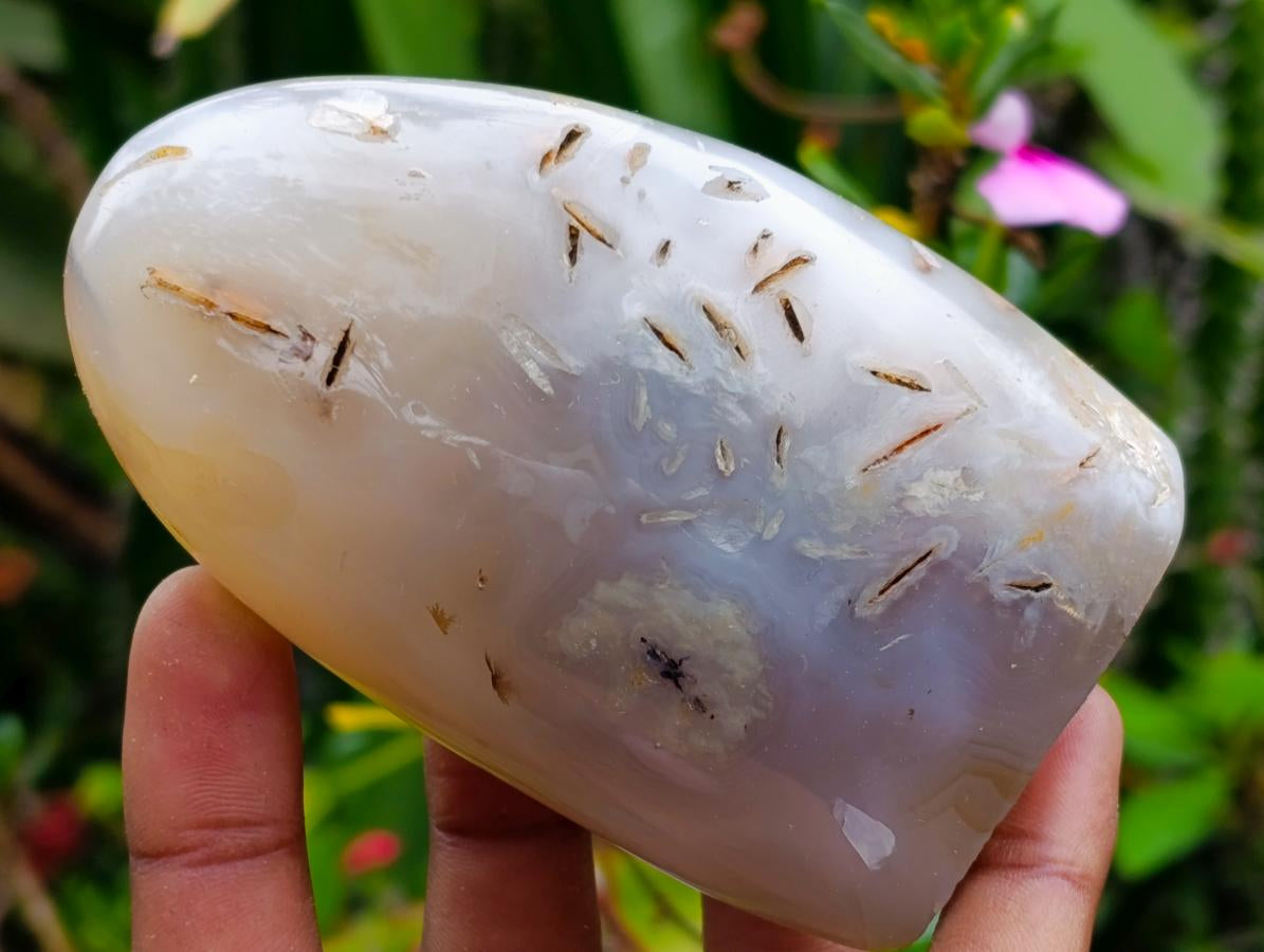 Polished Agate Standing Free Forms x 6 From Madagascar