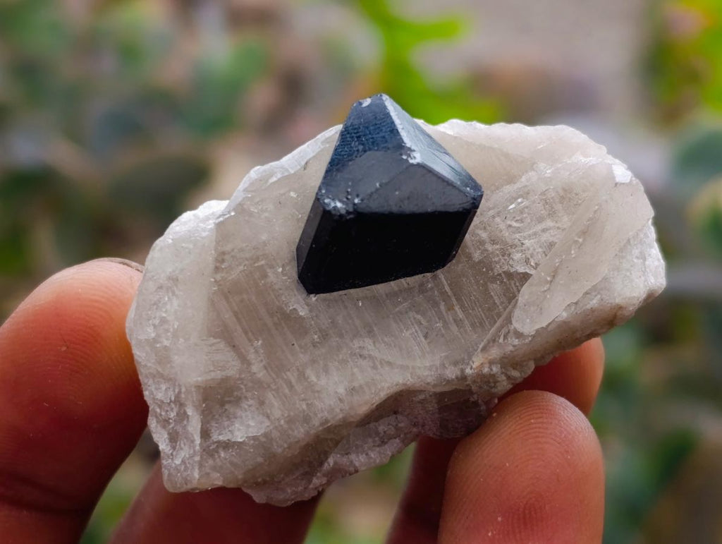 Natural Schorl Black Tourmaline Specimens x 12 From Erongo, Namibia