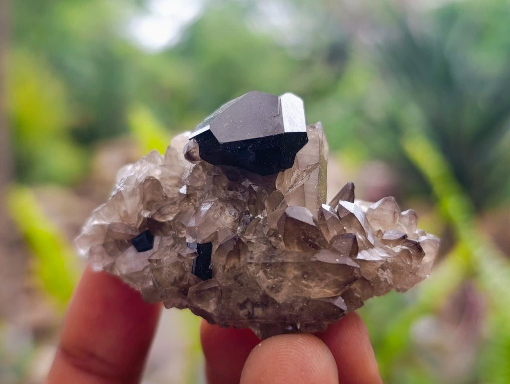 Natural Schorl Black Tourmaline Specimens x 12 From Erongo, Namibia