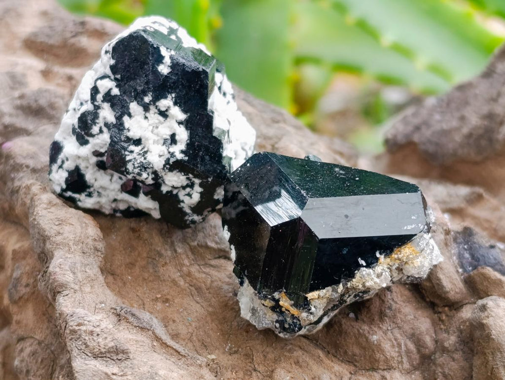 Natural Schorl Black Tourmaline Specimens x 12 From Erongo, Namibia