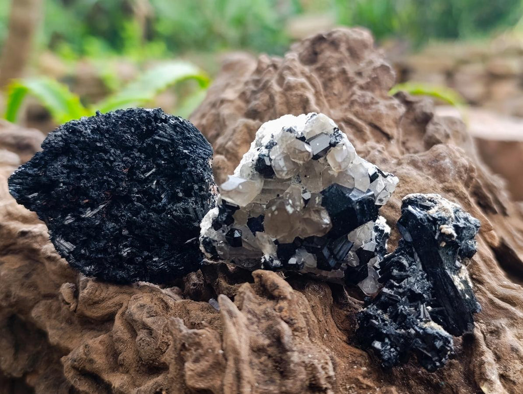Natural Schorl Black Tourmaline Specimens x 12 From Erongo, Namibia