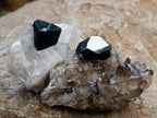 Natural Schorl Black Tourmaline Specimens x 12 From Erongo, Namibia