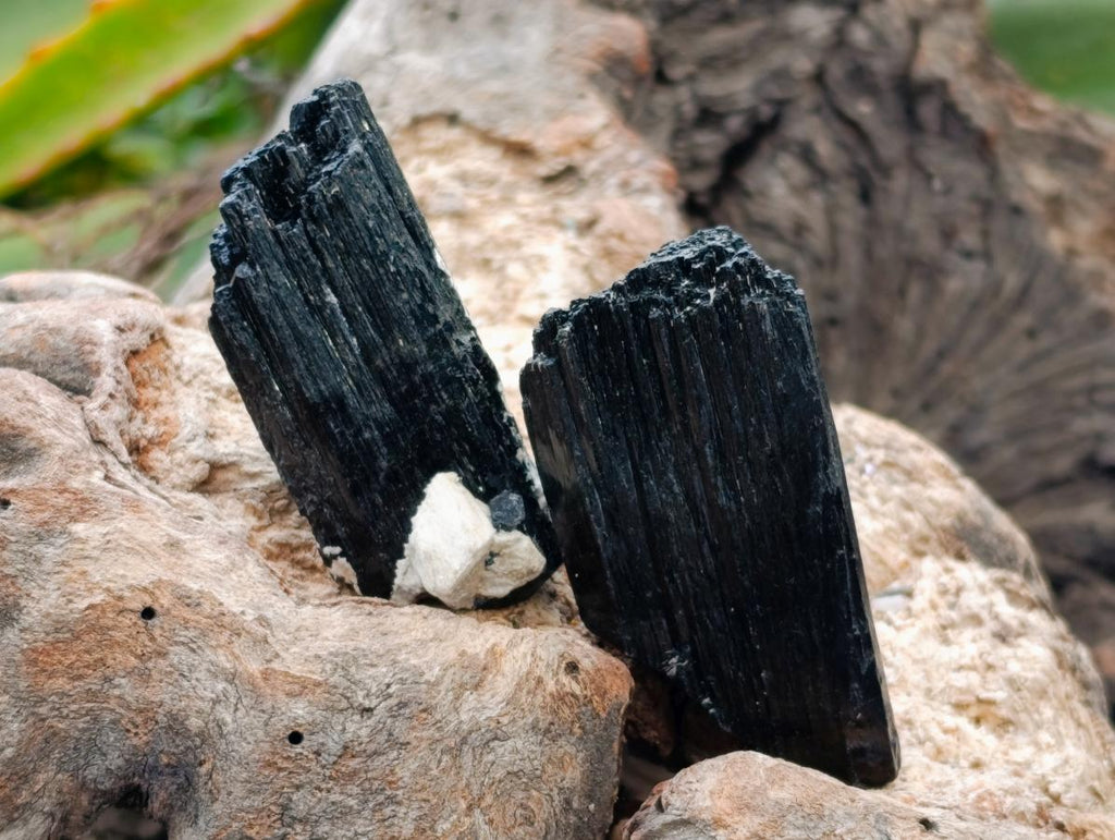 Natural Schorl Black Tourmaline Specimens x 12 From Erongo, Namibia