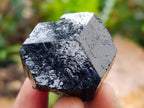 Natural Schorl Black Tourmaline Specimens x 12 From Erongo, Namibia