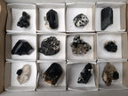 Natural Schorl Black Tourmaline Specimens x 12 From Erongo, Namibia