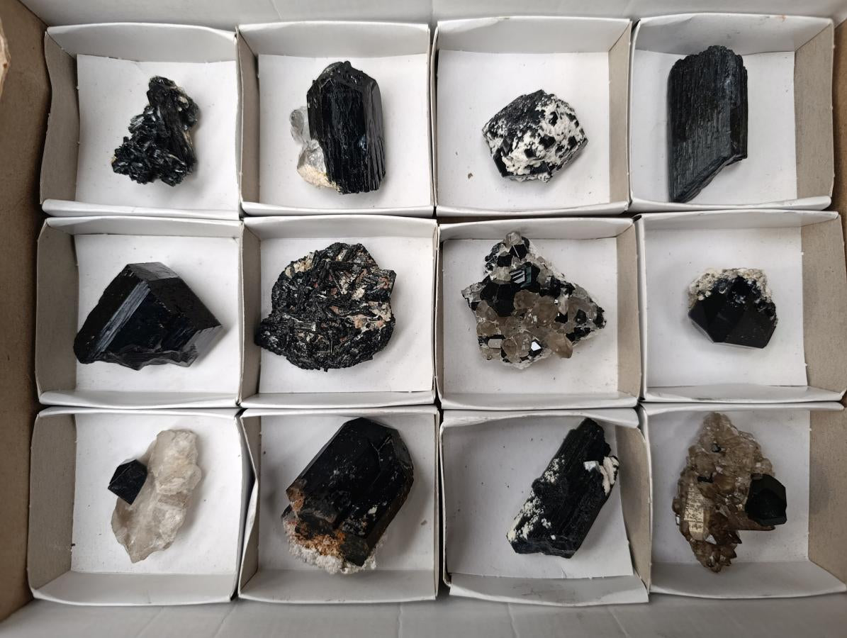 Natural Schorl Black Tourmaline Specimens x 12 From Erongo, Namibia