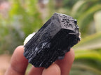Natural Schorl Black Tourmaline Specimens x 12 From Erongo, Namibia